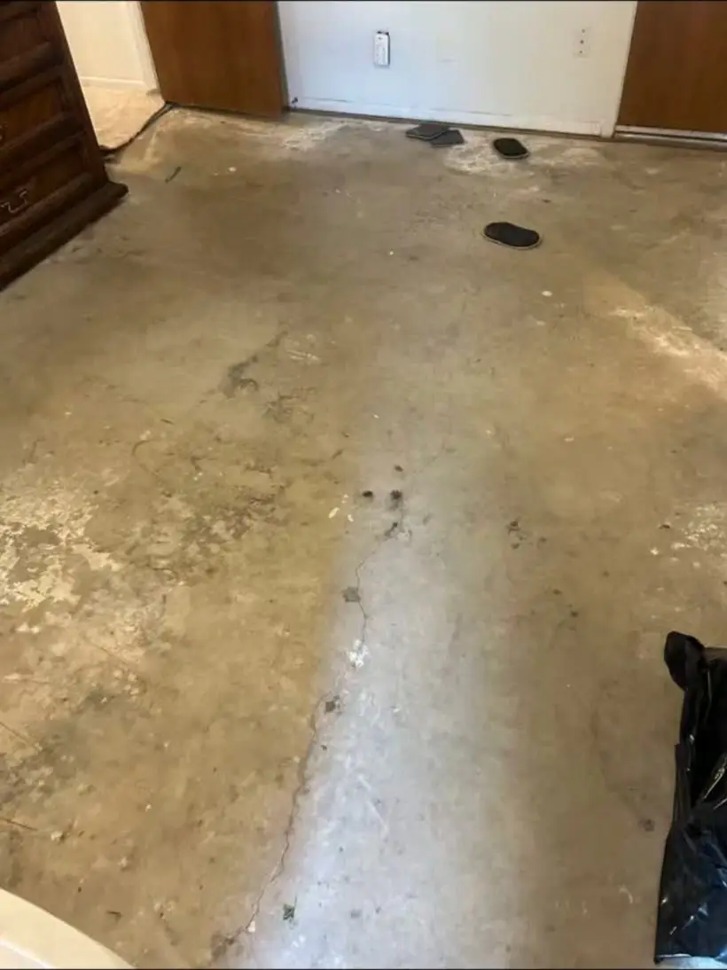 Bare concrete slab after the old carpet and tack strip came out, ready for new carpet.